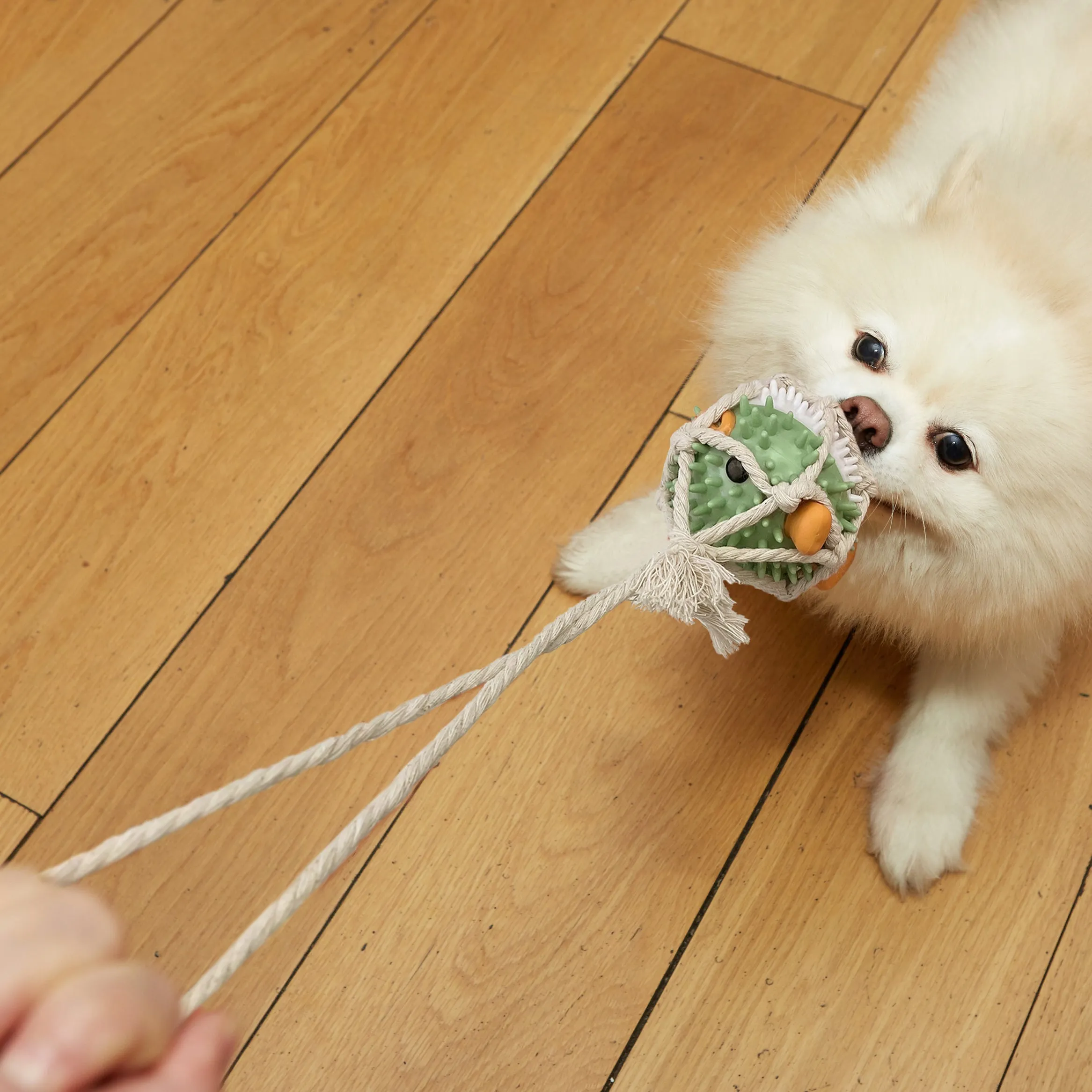Kobe Pufferfish Tug Toy